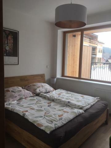 Apartman Cihadla Bedřichov Eksteriør bilde